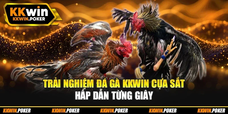 Trải nghiệm đá gà KKWIN cựa sắt hấp dẫn từng giây