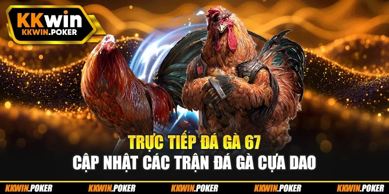 Trực tiếp đá gà 67 cập nhật các trận đá gà cựa dao