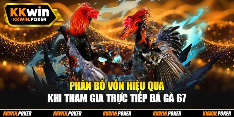 Phân bổ vốn hiệu quả khi tham gia trực tiếp đá gà 67